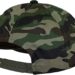 Pelle Pelle Icon Plate Snapback Cap